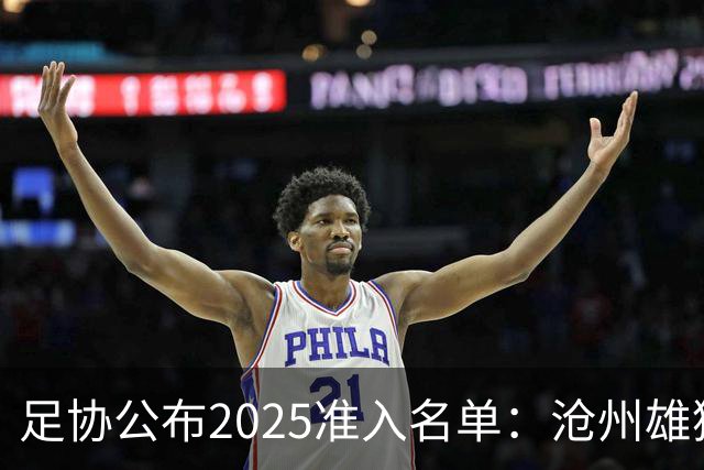 足协公布2025准入名单：沧州雄狮、广州队无缘